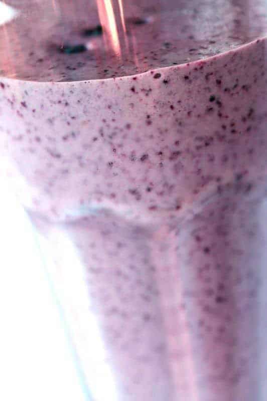 Blueberry-Vanilla-Yogurt Protein Shake