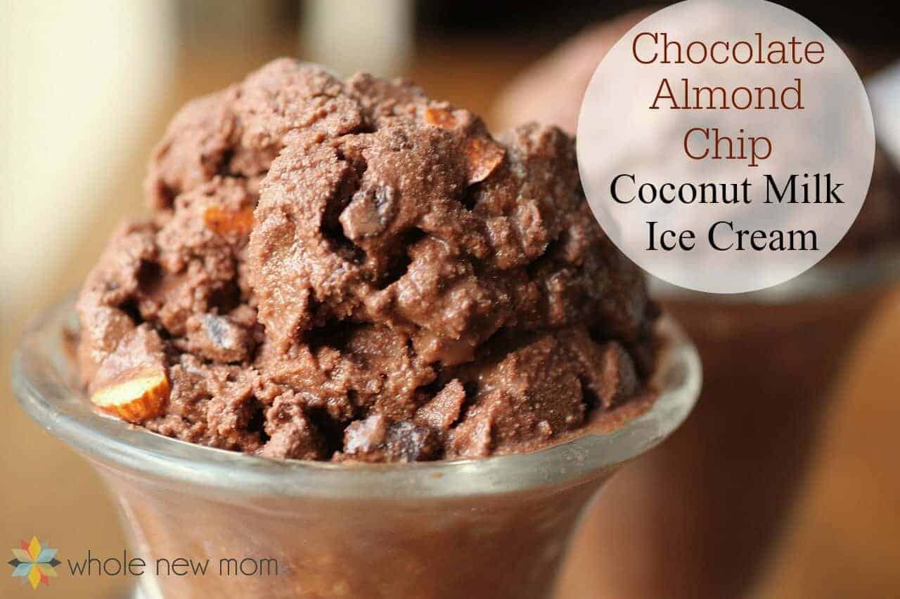 Chocolate Almond Chip Coconut Milk Ice Cream