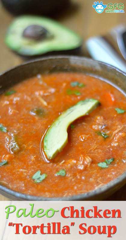 Mexican Chicken Tortilla Soup