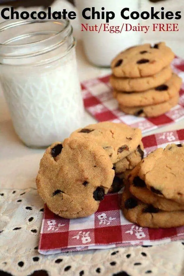 Chocolate Chip Cookie