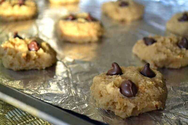 High Protein Chocolate Chip Cookies