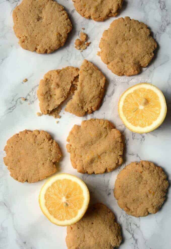 Lemon Blueberry AIP Paleo Cookies