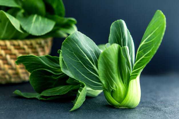 fresh bok choy